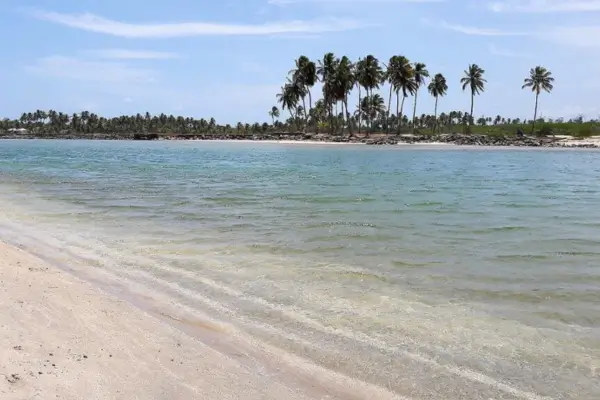 as Belezas Naturais de Porto de Galinhas